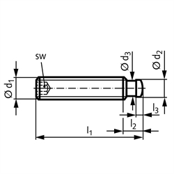 Gewindestift DIN 6332 mit Druckzapfen mit Innensechskant Gewinde M8 Gesamtlänge 60mm rostfreier Stahl, Technische Zeichnung