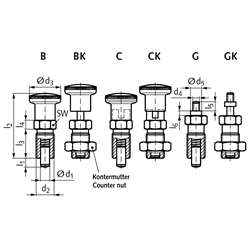 Rastbolzen 817 Form B Bolzendurchmesser 8mm , Technische Zeichnung